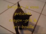 crayon-gris & gris-bouille