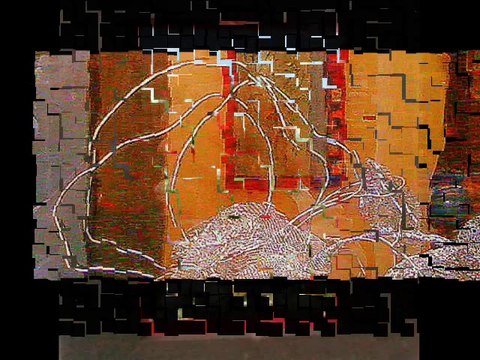 vitrines... musicales ...en couleurs