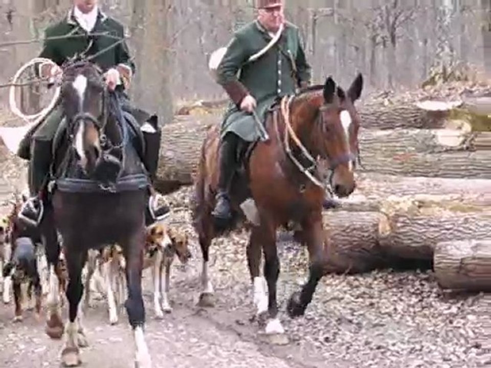 Chasse à courre au chevreuil