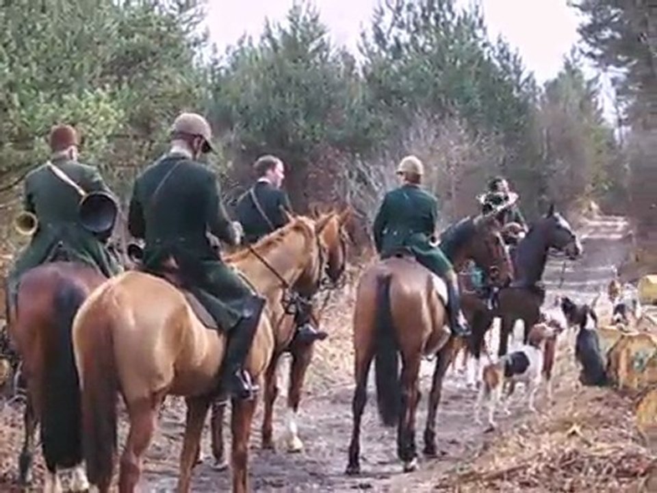 Chasse à courre du chevreuil : le départ pour la chasse