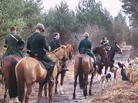 Chasse à courre du chevreuil : le départ pour la chasse