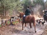 Chasse à courre du chevreuil : appels pour le départ pour la