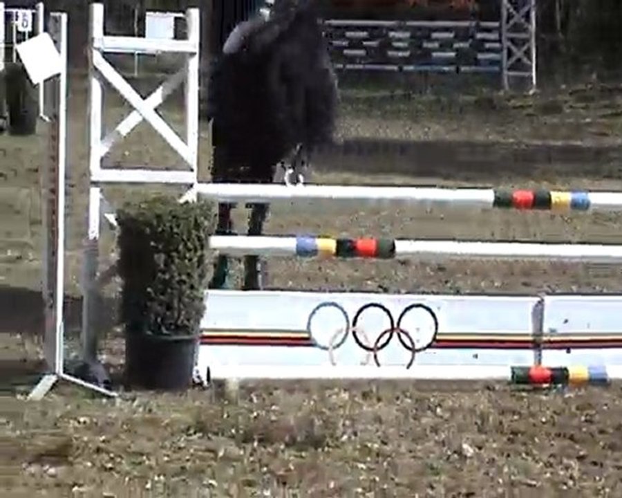 Virginie La Flèche Obstacle