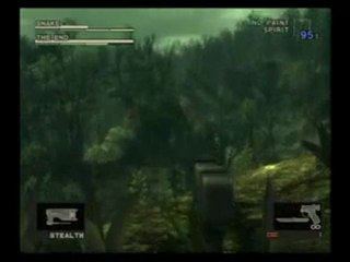 METAL GEAR SOLID3 普通(-)にプレイ Part.28 ～VSザ・エンド2～--