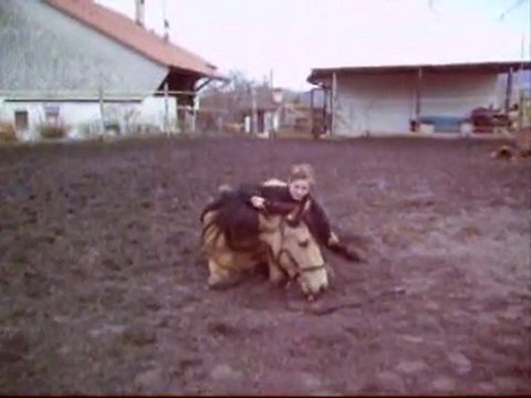 Safran + Tempête: cirque