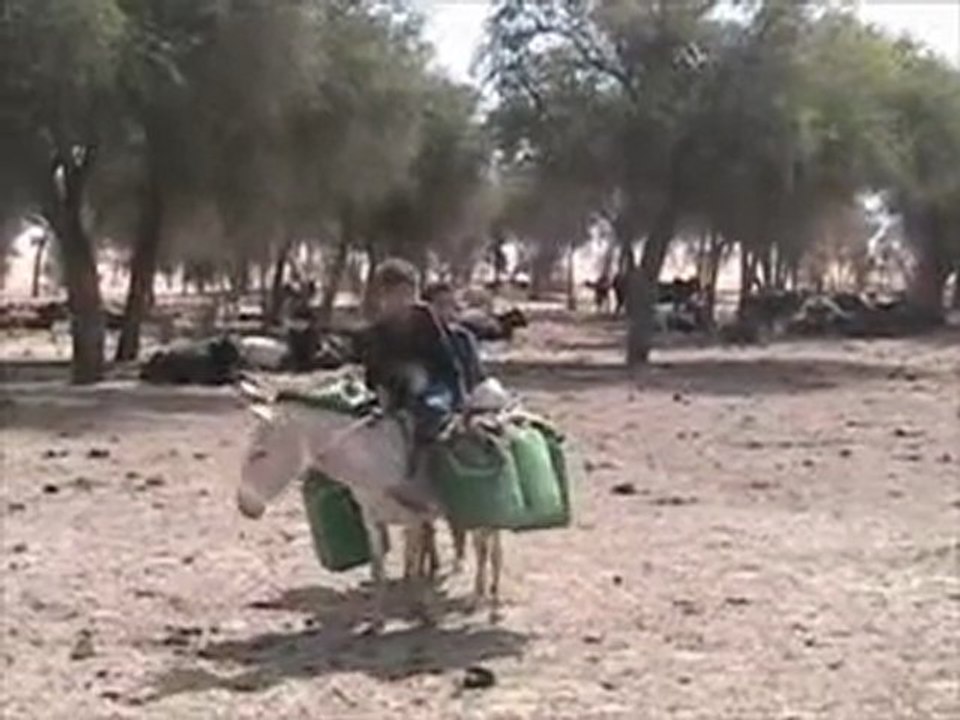 Niger et Mali (Azawak) : eau introuvable et insalubre