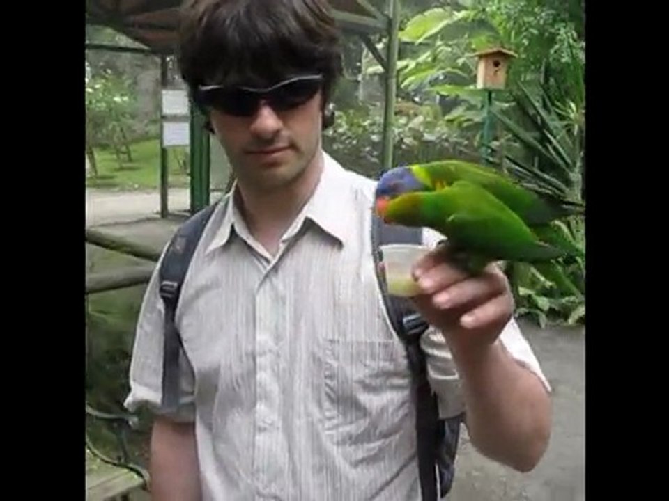 Yannick et les Loris