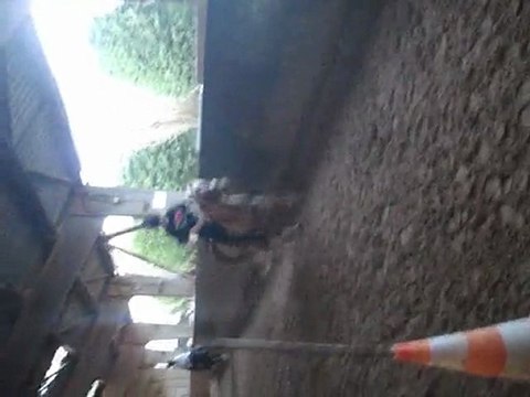 Alluet le rois Imprévue&Milou