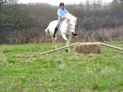 Chipaz travail à pied & monté x)