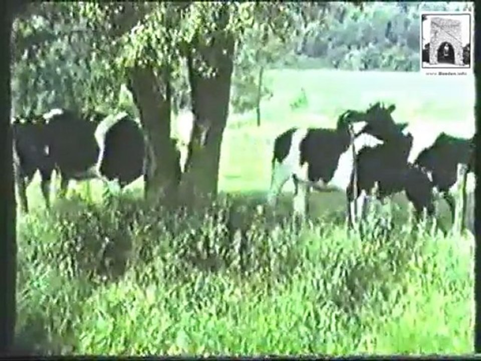 Beeden 1983 part 1