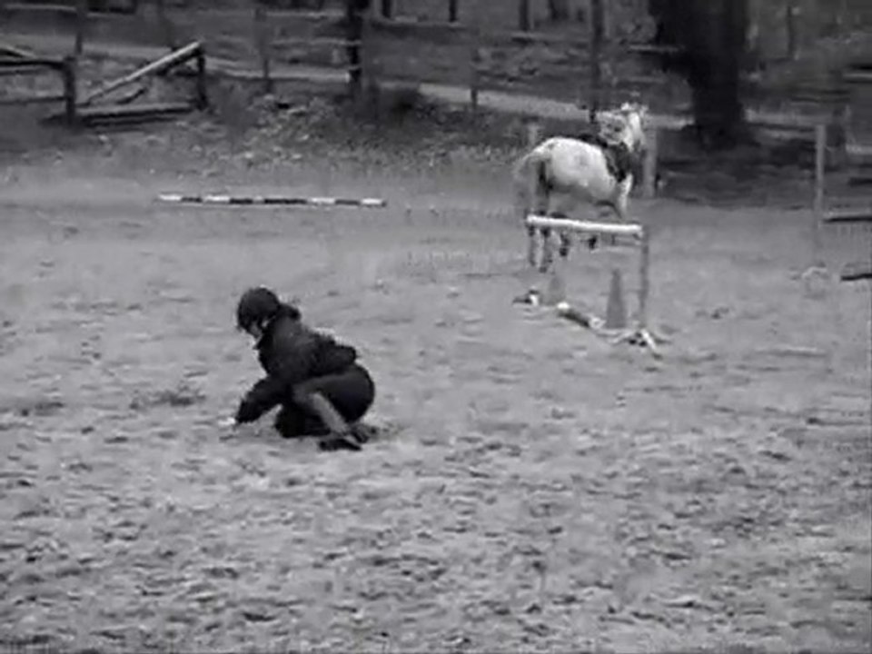Une passion; Une vie. ♥