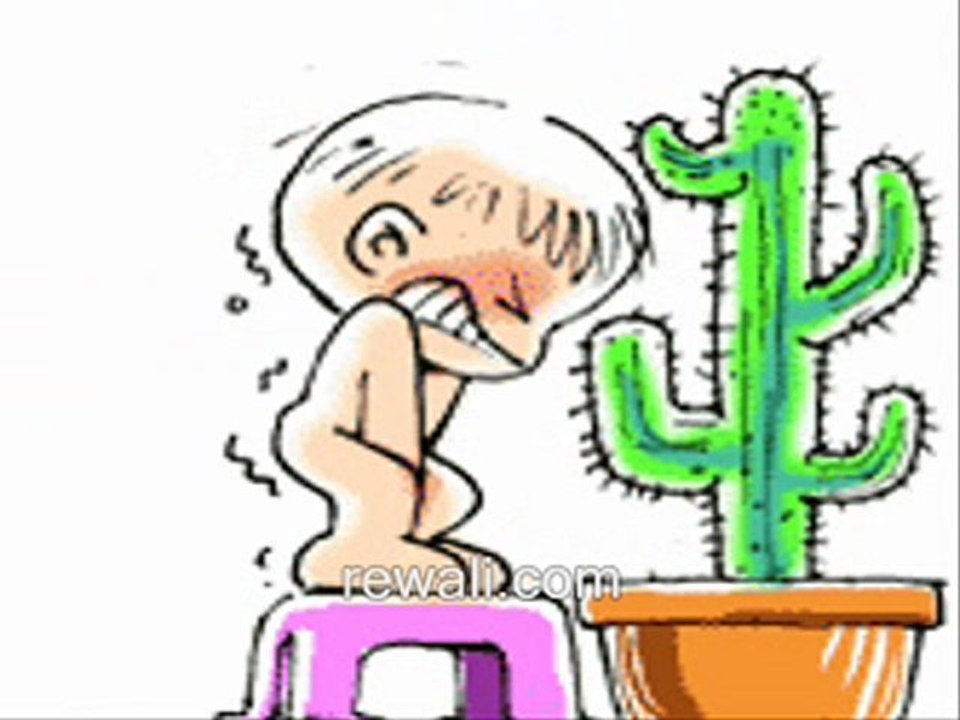 funny video - good / great email pics collection