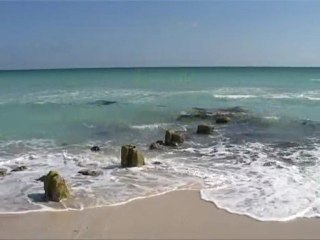 PEDRO AKI SZÍVE MÉLYÉN MAGYAR... I. rész