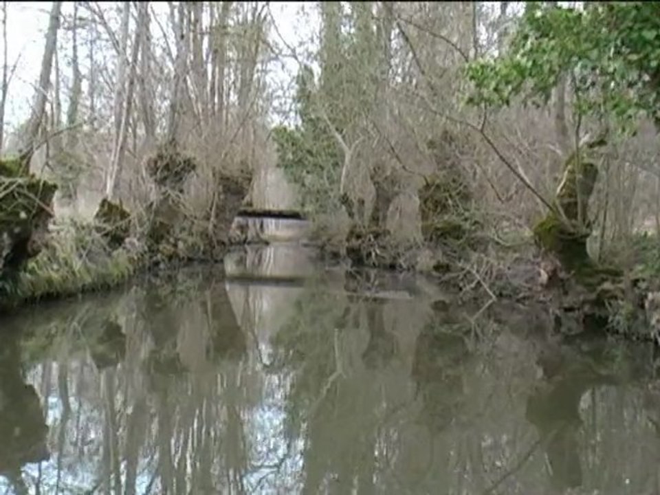 Marais Poitevin :Promenade en barque à Arçais DS