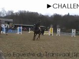 Challenge @Cercle Equestre du Transvaal