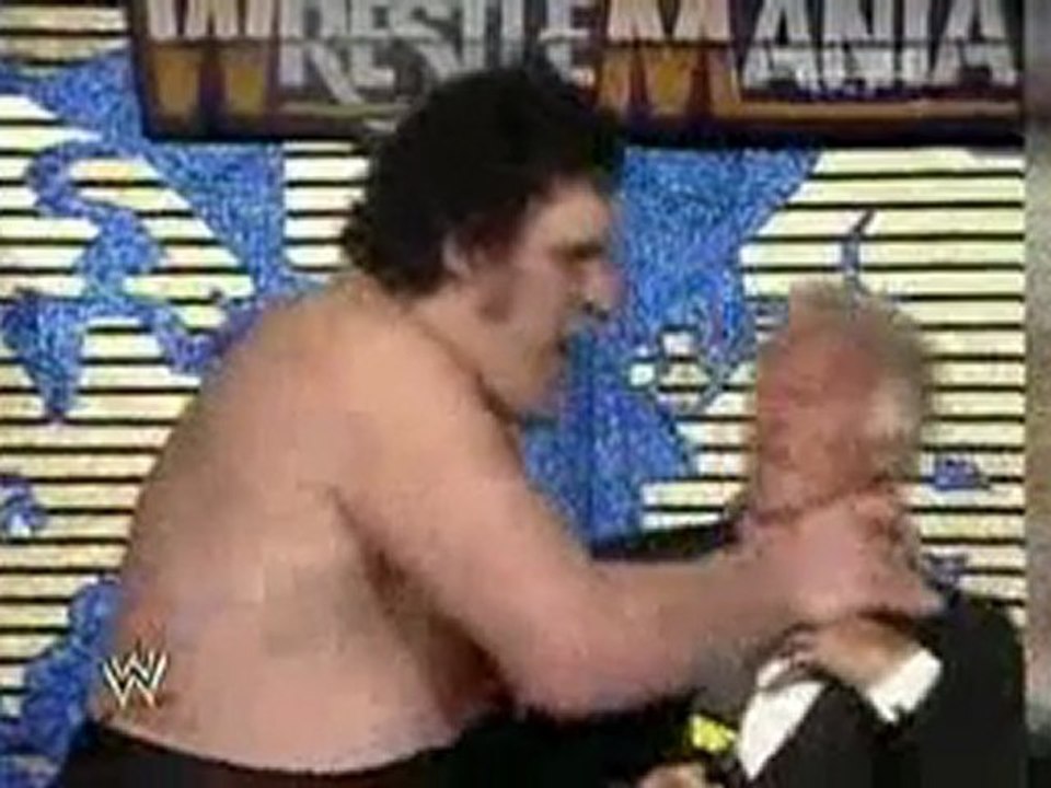 WWE Hall Of Fame 2010 2/4