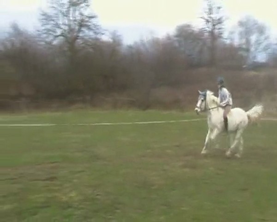 Saut D'obstacle 4