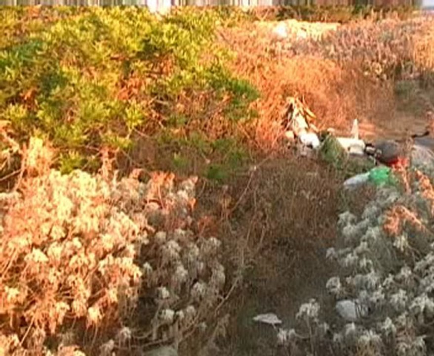 ZURG ET YOPO - LA CORSE EN MARCHANT Part.2