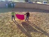 Toros en el Colegio Mayor Peñafiel Valladolid