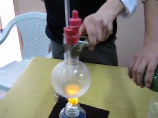 Bilim Şenliği-2010