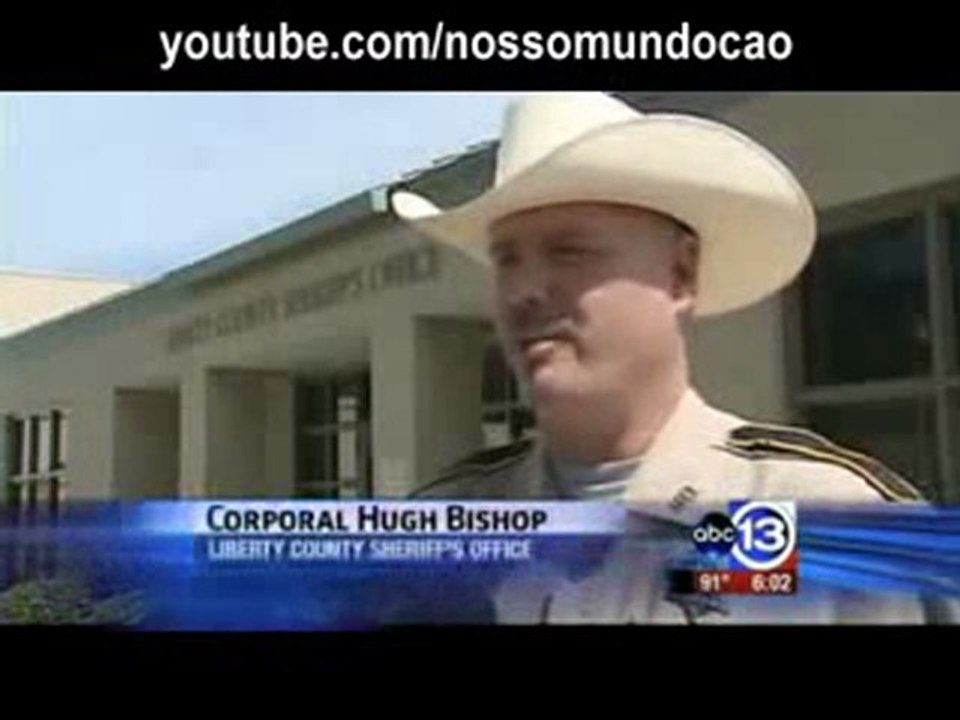 UFO, Authorities Investigate Strange Object In Sky Video2