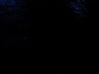 le rentrer d'Eliote grand bleu de 8 mois apres une traque