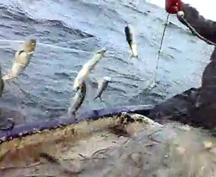 fishing Ravda bay-karagioz