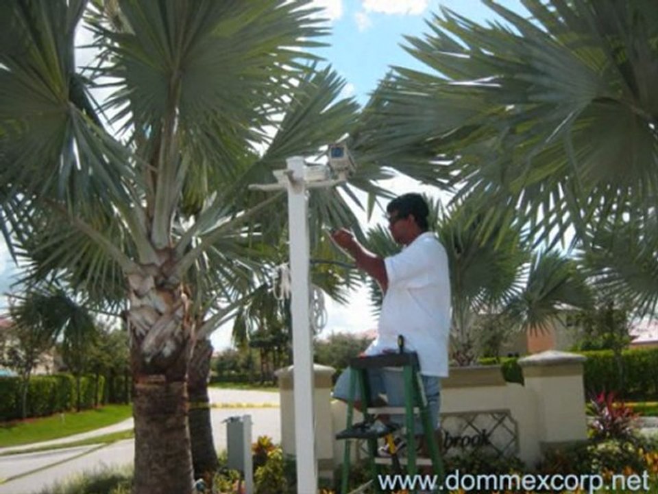 DommexCorp Projects