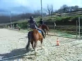 mwa au galop