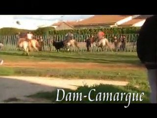 Rodilhan - Le 27 Mars - L'après-midi