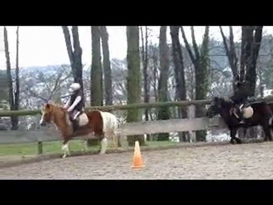 007 HORTENSE PONEY GRAND TROP