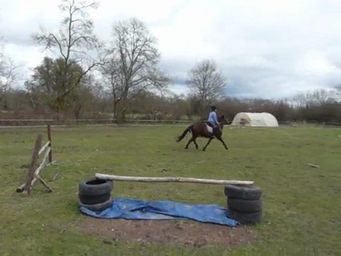 oxer bidon pepette alice