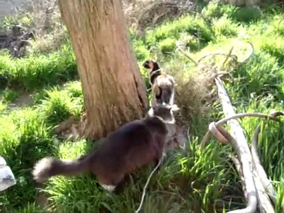 Energy 1ère sortie jardin le 28 mars 2010