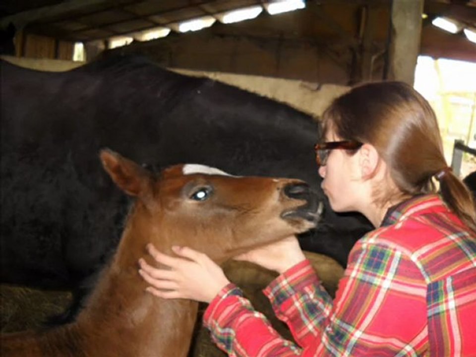 Diamnche 28 Mars 2010