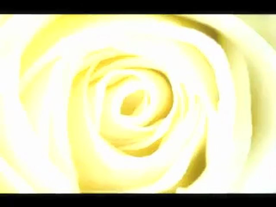 Meya Orkestrası "Sarı gülüm" Gülden Hanedar