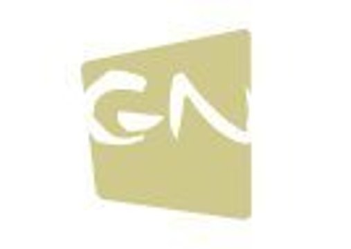 GN 2008 - Marion Hansel ( Si le vent soulève les sables )