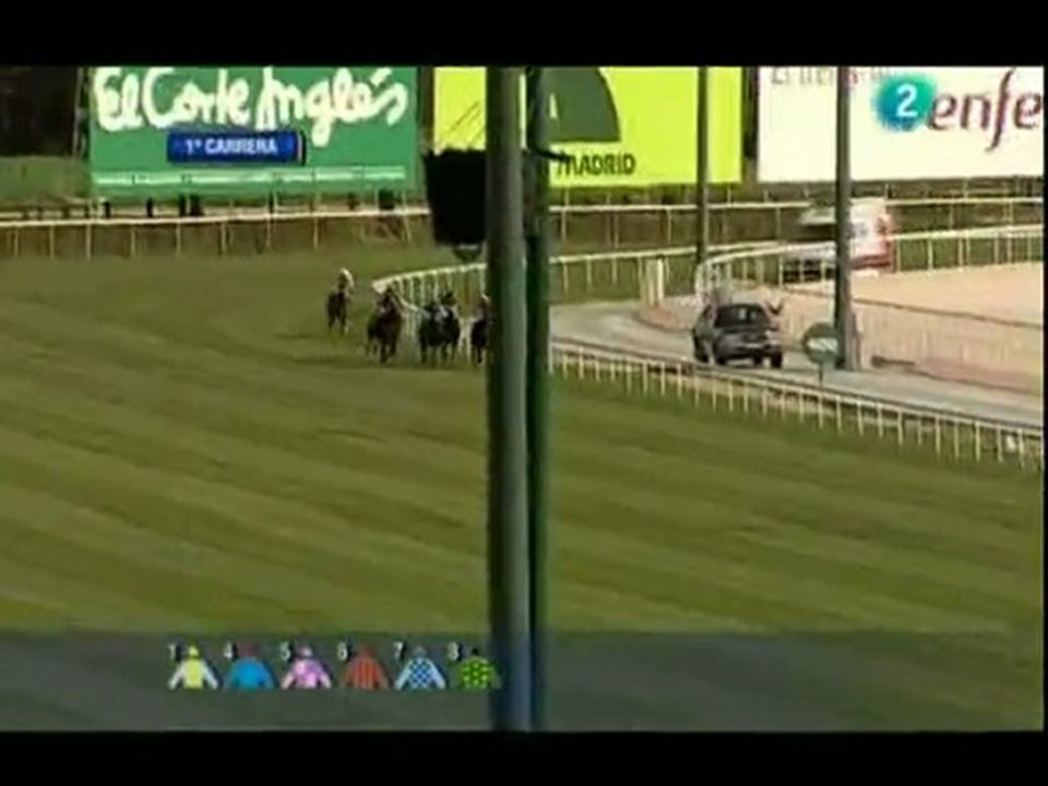 2010.03.28, n° 77 LZ (LAE (Potrancas 3a Deb) TASHA LINDA