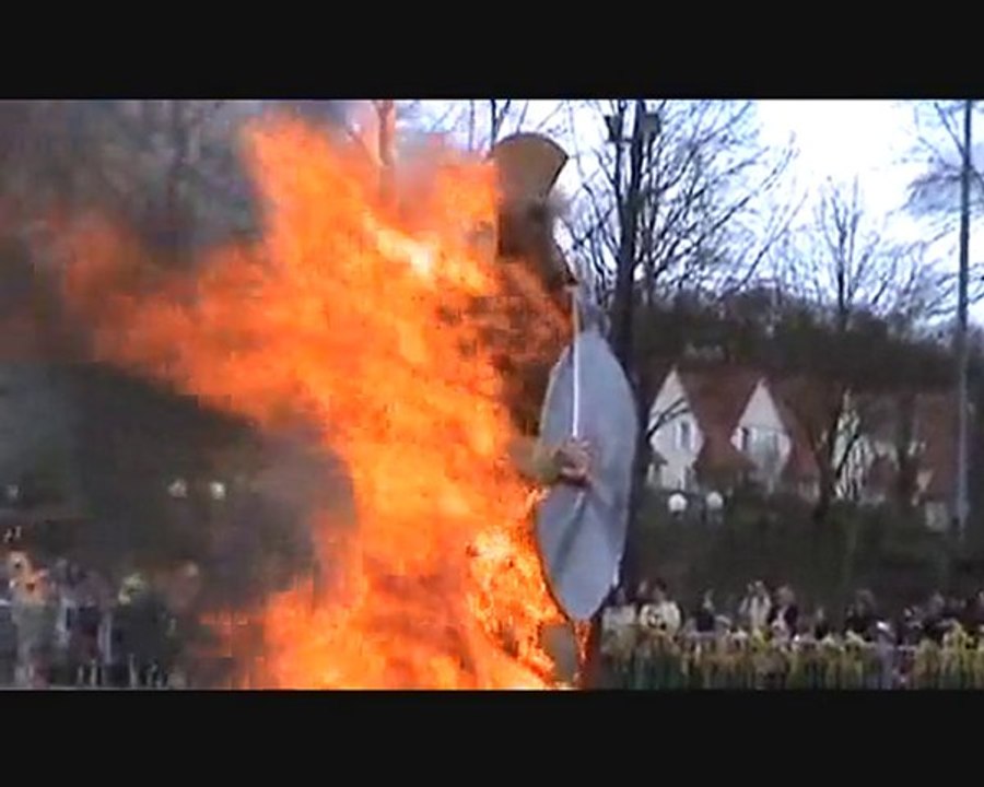 300_Mr Carnaval 2010