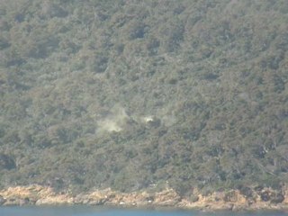 Départ de pollen sur l'île de Port Cros