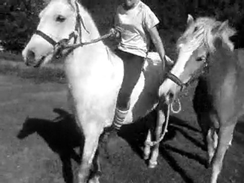 Jav en main robin monté 2