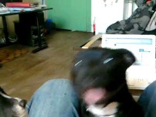 universal export everybody loves me " la peste "