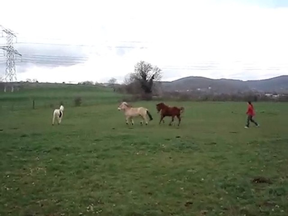 28mars pré