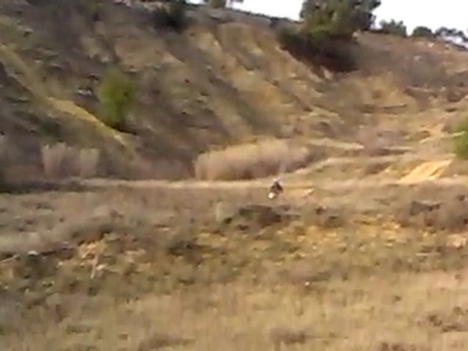 YCF R START PILOT 140cc petit tour