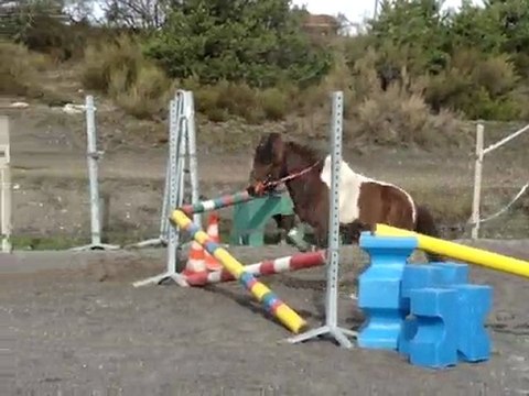 loustic, saut en liberté!