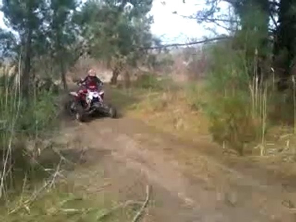 Quad glisse dorian 2