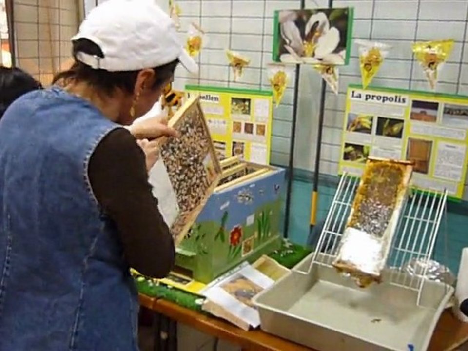 abeille Saint loup cammas 21.03.2010  Abeillement votre !!!