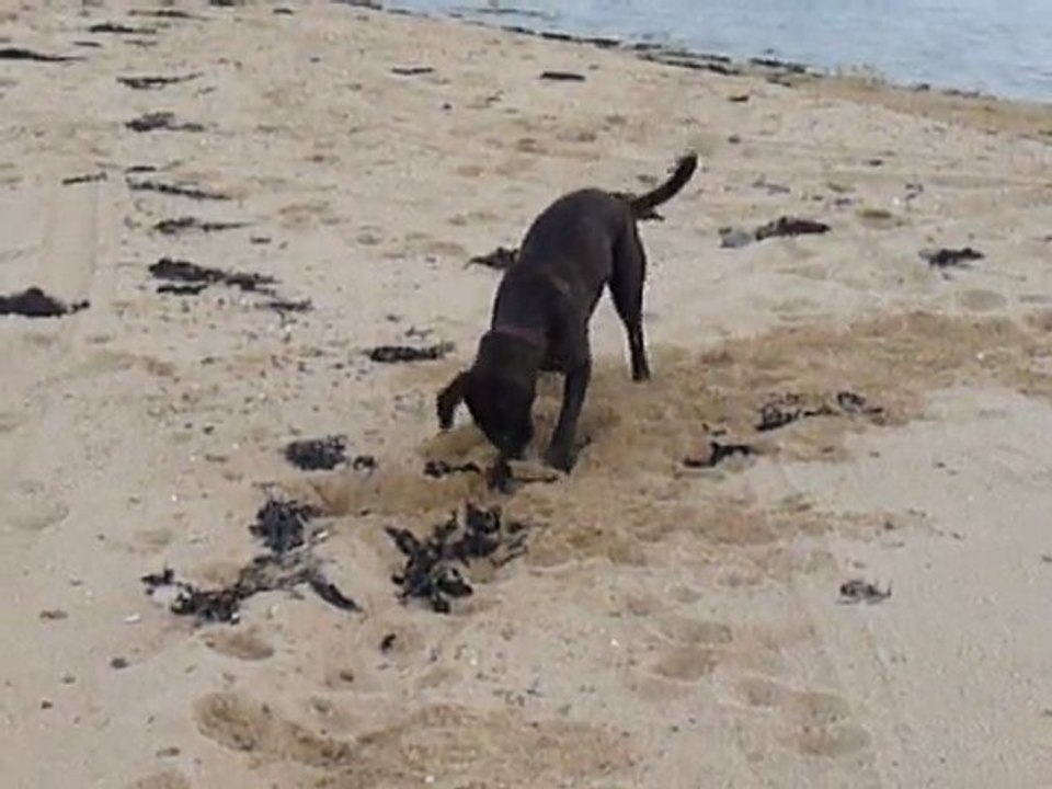 EWANE s'éclate à la mer, Mars 2010 - 1