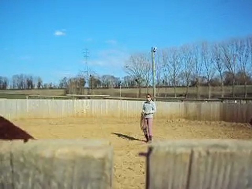 Premier cours d'ethologie de Unter