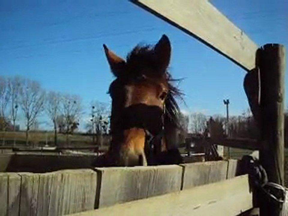 Cours éthologie d'Unter