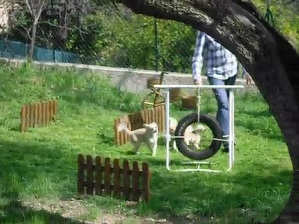 Agility Nanou